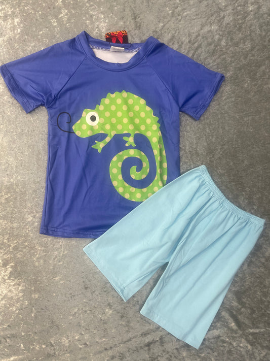 Chameleon Boys Shorts Set