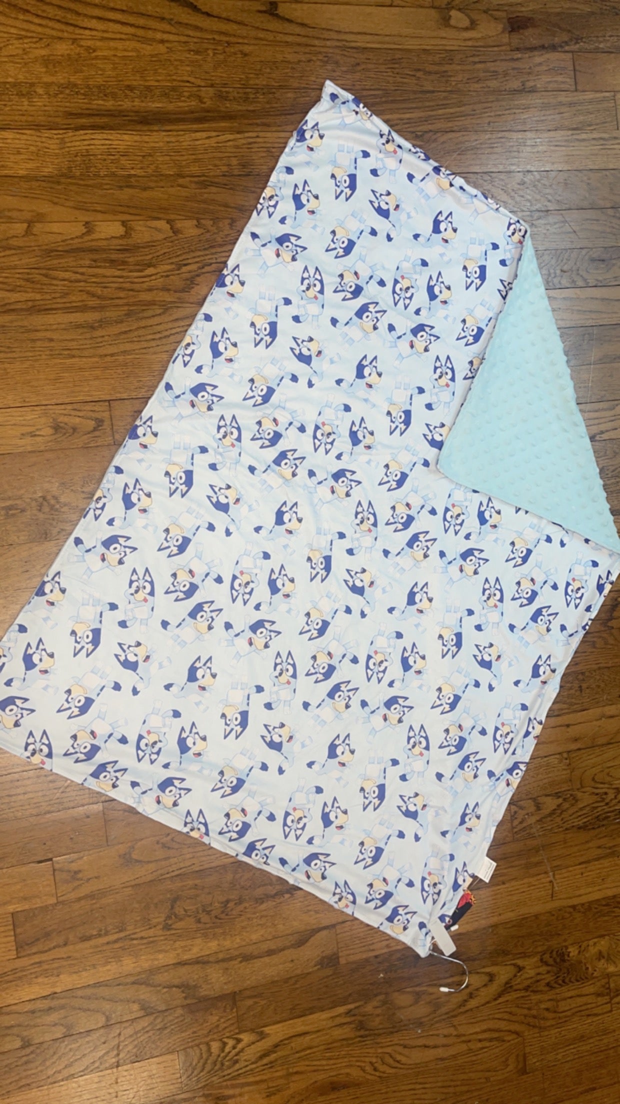 Bluey Minky Blanket